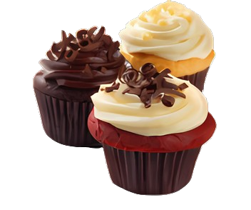 Explicabo recusandae qui